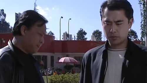 短剧我儿子被大佬盯上了免费在线观看_我的儿子现在被追杀--第1张