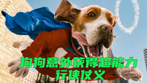 短剧二狗的开挂人生免费在线观看_二狗电视叫什么名字--第1张