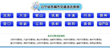 全国交通违章查询1234_全国交通违章查询入口官网--第1张