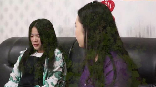 短剧年前来的爱人&我的爱人死在年前免费在线观看的简单介绍--第1张
