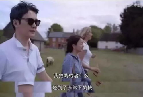 短剧爱不单行离婚冷她三年后，霍总膝盖跪穿了免费在线观看_爱不单行离婚冷他三年后--第1张