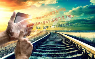 短剧燕归巢全集观看_燕归巢视频--第1张