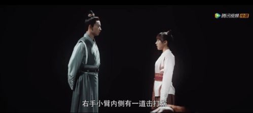 短剧小日子网剧免费在线观看_小日子 弩--第1张