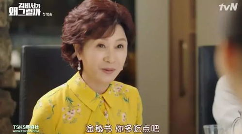 短剧追妻免费在线观看_电视剧追婚--第1张