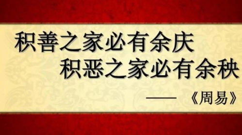 短剧天道赊命人全集观看_天道人道电视剧22集--第1张