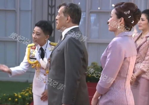 短剧夫妻三年老婆不识真面目&苍穹之上全集观看--第1张