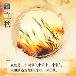 短剧云天收夏色全集观看_云天收夏声--第1张