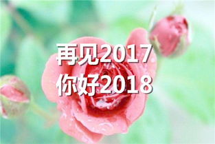 短剧新版再见全集观看_再见2018版--第1张