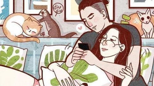 短剧离婚后他高攀不起全集观看_离婚后前夫高攀不起--第1张