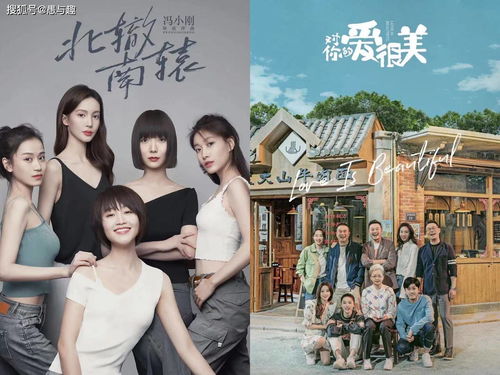 短剧再次见到你合免费在线观看_再次见到你是哪部电视剧--第1张