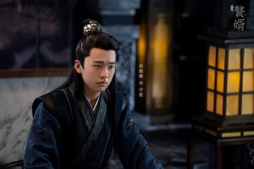 短剧赘婿大结局是什么_电视剧赘婿大结局是什么--第1张