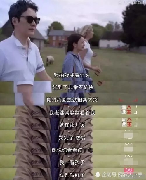 短剧爱不单行离婚冷她三年后霍总膝盖跪穿了全集观看--第1张