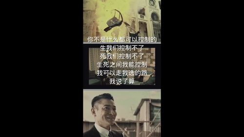 短剧新追龙全集观看_追龙电视剧在线观看--第1张