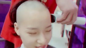 短剧光头女人的重生全集观看_光头女人是谁--第1张