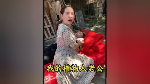 短剧新婚夜植物人老公他行了全集观看_新婚丈夫变植物人--第1张