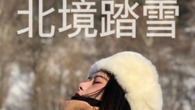 热播短剧北境风云二十年免费在线观看_北境劲军免费阅读--第1张