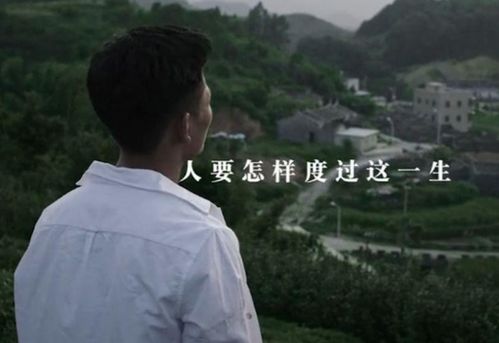 短剧新此生不负你情深全集观看_此生不负你的情电视剧--第1张