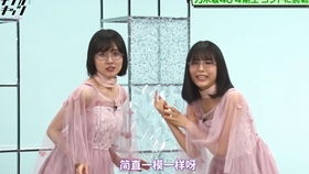 短剧崎寂酒吧全集观看--第1张