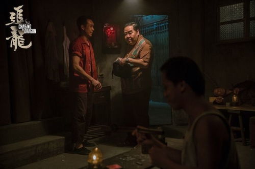 热播短剧追龙之罪与罚免费在线观看_追龙1在线完整版免费--第1张