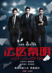 短剧风云再起全集观看_百度一下电视剧风云再起--第1张