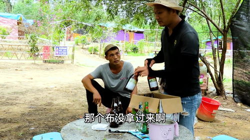 短剧得罪老板后他惩罚我做他新娘全集观看--第1张
