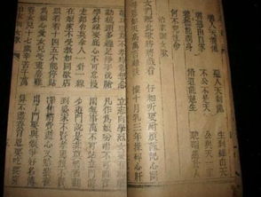 热播短剧生死簿免费在线观看_生死簿 百度百科--第1张