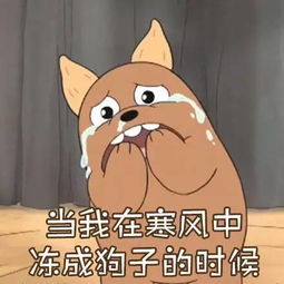 短剧资助白眼狼后我疯狂打脸全集观看_资助白眼狼生活现状--第1张