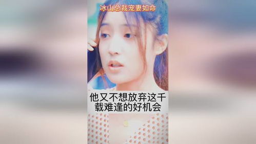 短剧冰山总裁追妻路全集观看_冰山总裁宠妻秘籍免费阅读--第1张