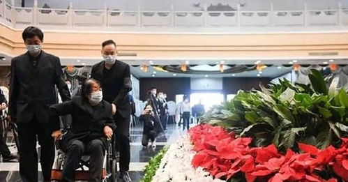 短剧家主别虐夫人改嫁了短剧 家主别虐夫人改嫁了短剧--第1张