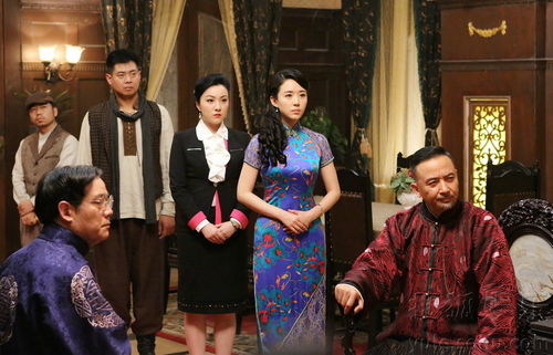 热播短剧-淘金年代免费在线观看_淘金年代34集电视剧--第1张