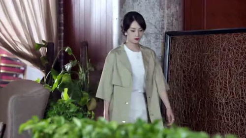 短剧漂亮女总裁的反击长篇版全集观看_漂亮女总裁登台致谢帅小伙完整版--第1张