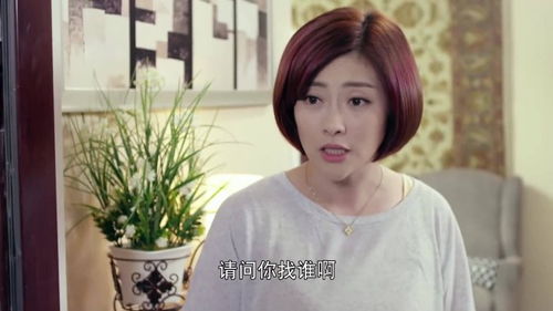短剧莫少的娇宠小保姆全集观看_莫少宠妻请低调--第1张