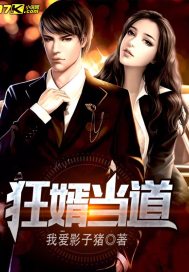 短剧狂飙弃少至尊弃少全集观看_至尊弃少狂婿免费阅读--第1张