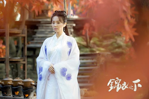 短剧美女总裁衣锦还乡全集观看_美女总裁的锦衣护卫下载--第1张