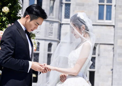 热播短剧婚礼换爱免费在线观看_婚礼换盅--第1张