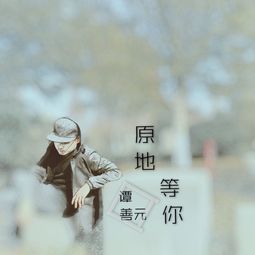 热播短剧我不会在原地等你免费在线观看_我不会在原地等你小说--第1张