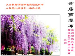 紫藤萝瀑布教案 紫藤萝瀑布教案--第1张