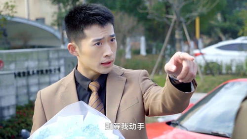 赘婿李石川大结局23章_赘婿李石川是什么电视剧--第1张