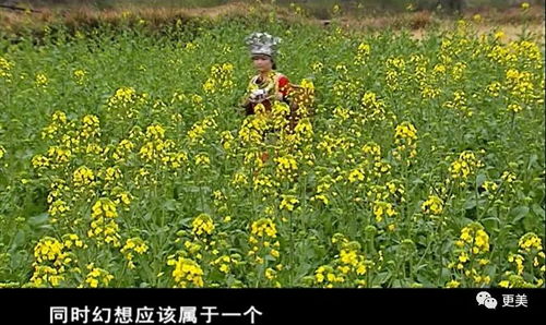 短剧落花洞女的传说全集观看_落花峒女--第1张