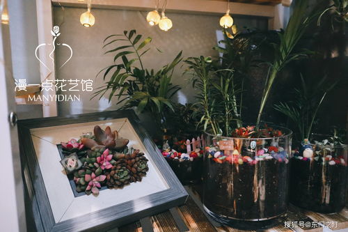 吸引人的鲜花店简介  魅力四溢的鲜花店——为您的生活增添色彩--第1张