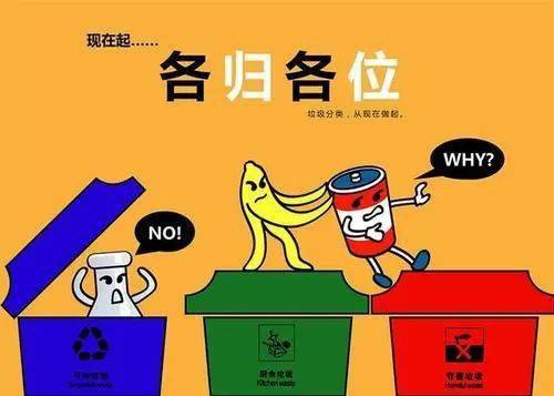 短剧我在人间捡垃圾短剧完整版 短剧我在人间捡垃圾短剧完整版--第1张