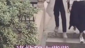 短剧苏小姐请住手陈思琦短剧完整版 短剧苏小姐请住手陈思琦短剧完整版--第1张