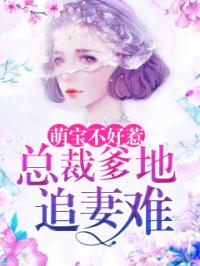 短剧萌宝小机灵叶总求抱抱全集观看_机灵萌宝总裁爹地要追妻--第1张