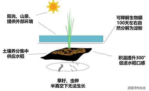 短剧穆总错爱难收短剧完整版 短剧穆总错爱难收短剧完整版--第1张