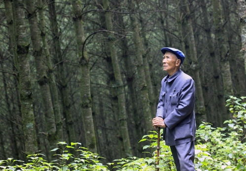 短剧父爱如山长篇短剧完整版 短剧父爱如山长篇短剧完整版--第1张