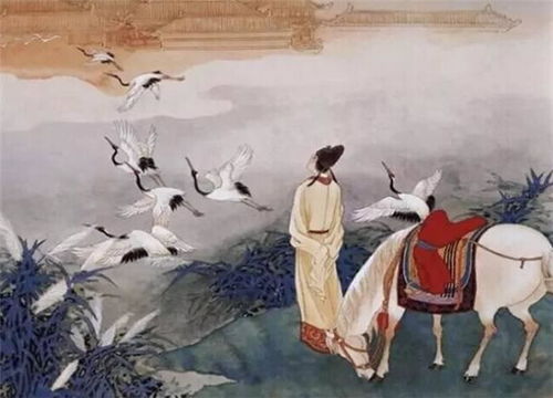 短剧回到古代我把教坊司价格打下来了短剧完整版 回到古代我把教坊司价格打下来了--第1张