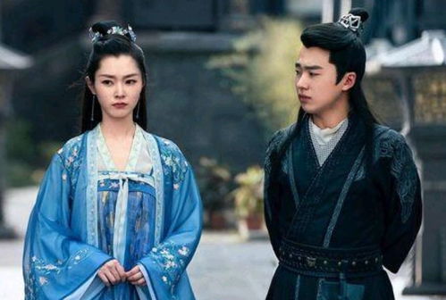赘婿大结局反转的简介_赘婿大结局怎么了--第1张