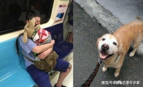 短剧怪我情有独钟出狱后薄情前夫成了舔狗短剧完整版 怪我情有独钟，出狱后薄情前夫成了舔狗--第1张