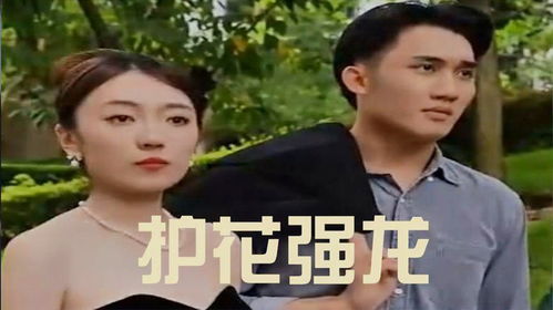 短剧绝世齐等闲绝世强龙短剧完整版 短剧绝世齐等闲，绝世强龙短剧完整版--第1张