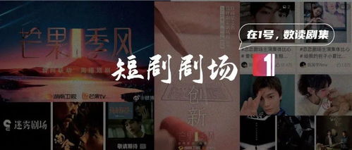 短剧以牙还牙长篇短剧完整版 短剧以牙还牙，长篇短剧完整版--第1张